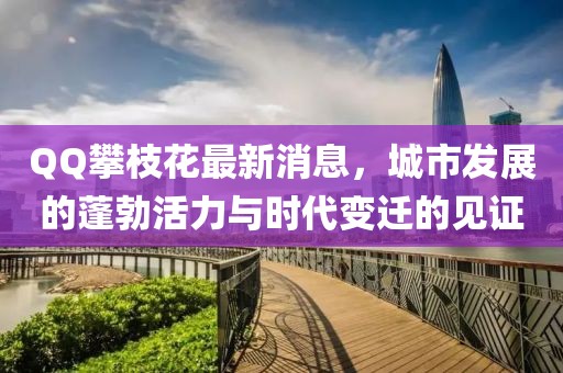 QQ攀枝花最新消息，城市發(fā)展的蓬勃活力與時代變遷的見證