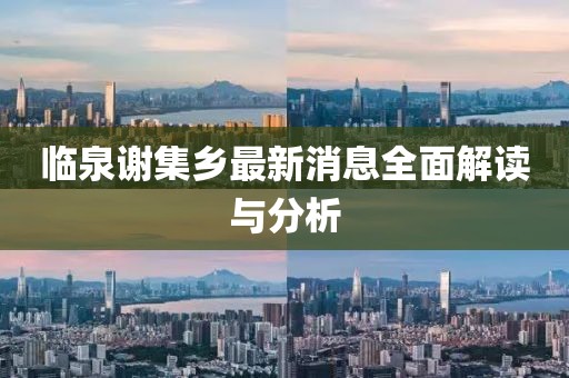 臨泉謝集鄉(xiāng)最新消息全面解讀與分析