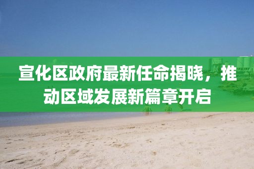 宣化區(qū)政府最新任命揭曉，推動(dòng)區(qū)域發(fā)展新篇章開(kāi)啟