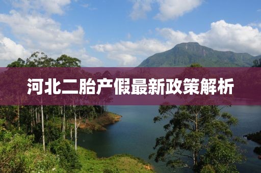 河北二胎產(chǎn)假最新政策解析