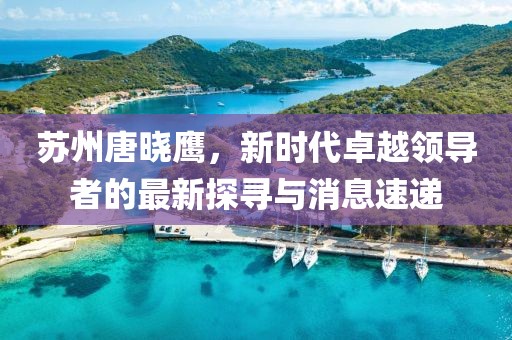 蘇州唐曉鷹，新時(shí)代卓越領(lǐng)導(dǎo)者的最新探尋與消息速遞