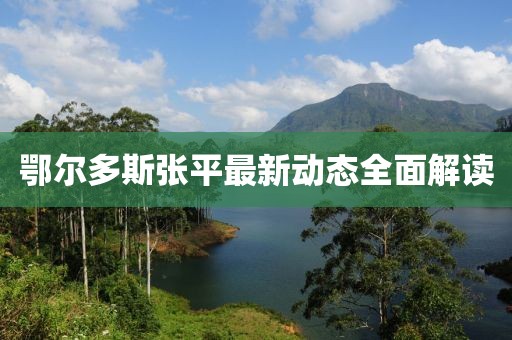 鄂爾多斯張平最新動(dòng)態(tài)全面解讀