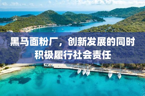 黑馬面粉廠，創(chuàng)新發(fā)展的同時(shí)積極履行社會(huì)責(zé)任