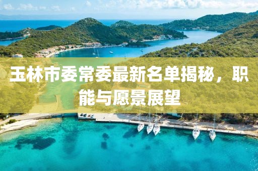 玉林市委常委最新名單揭秘，職能與愿景展望
