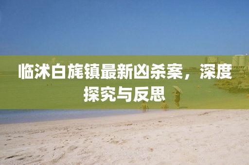 臨沭白旄鎮(zhèn)最新兇殺案，深度探究與反思