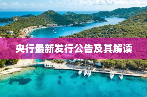 央行最新發(fā)行公告及其解讀