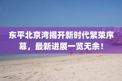東平北京灣揭開新時(shí)代繁榮序幕，最新進(jìn)展一覽無(wú)余！