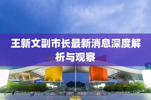 王新文副市長最新消息深度解析與觀察
