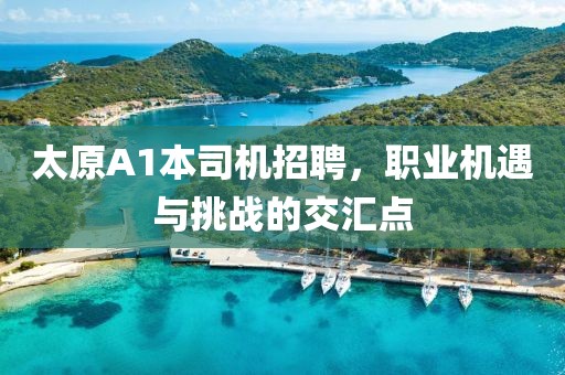 太原A1本司機招聘，職業(yè)機遇與挑戰(zhàn)的交匯點