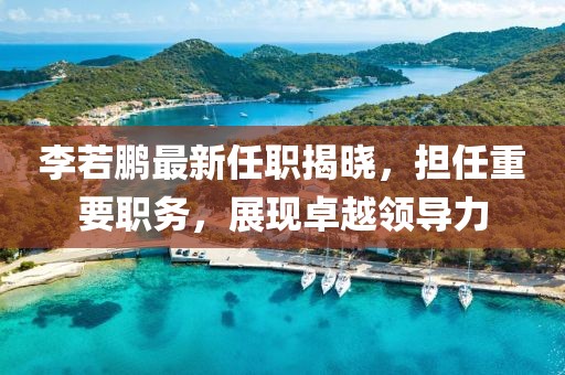 李若鵬最新任職揭曉，擔任重要職務(wù)，展現(xiàn)卓越領(lǐng)導(dǎo)力