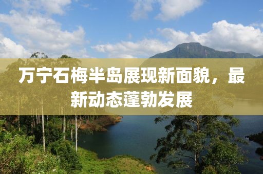 萬(wàn)寧石梅半島展現(xiàn)新面貌，最新動(dòng)態(tài)蓬勃發(fā)展