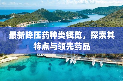 最新降壓藥種類(lèi)概覽，探索其特點(diǎn)與領(lǐng)先藥品