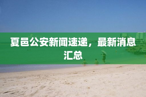 夏邑公安新聞速遞，最新消息匯總