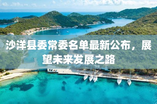 沙洋縣委常委名單最新公布，展望未來發(fā)展之路