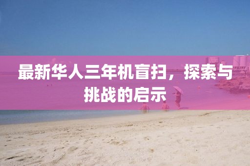 最新華人三年機(jī)盲掃，探索與挑戰(zhàn)的啟示