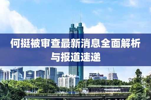 何挺被審查最新消息全面解析與報(bào)道速遞