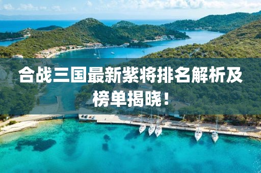 合戰(zhàn)三國(guó)最新紫將排名解析及榜單揭曉！