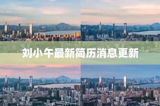 劉小午最新簡歷消息更新