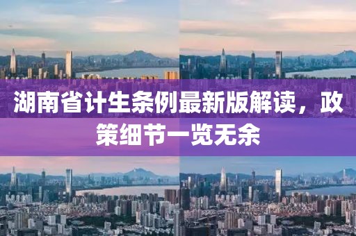 湖南省計生條例最新版解讀，政策細節(jié)一覽無余