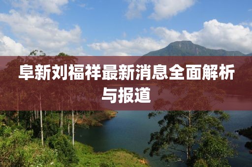 阜新劉福祥最新消息全面解析與報道