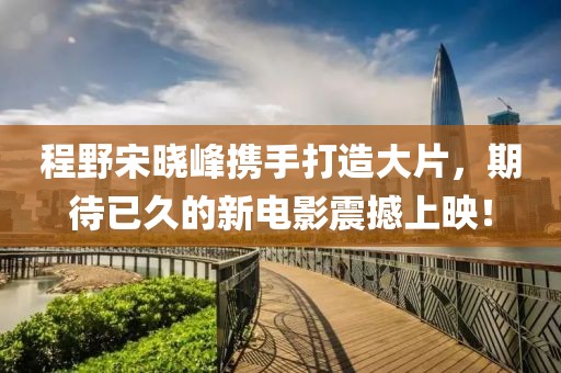 程野宋曉峰攜手打造大片，期待已久的新電影震撼上映！