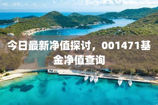 今日最新凈值探討，001471基金凈值查詢