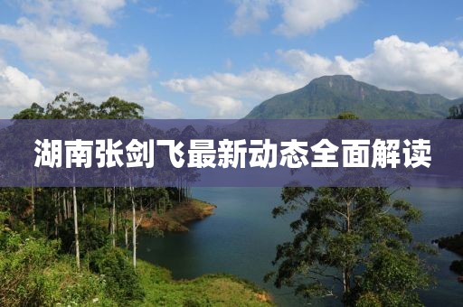 湖南張劍飛最新動(dòng)態(tài)全面解讀