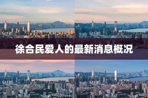 徐合民愛人的最新消息概況