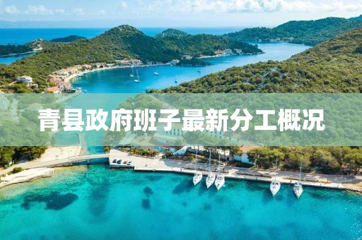 青縣政府班子最新分工概況