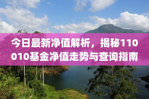 今日最新凈值解析，揭秘110010基金凈值走勢(shì)與查詢指南