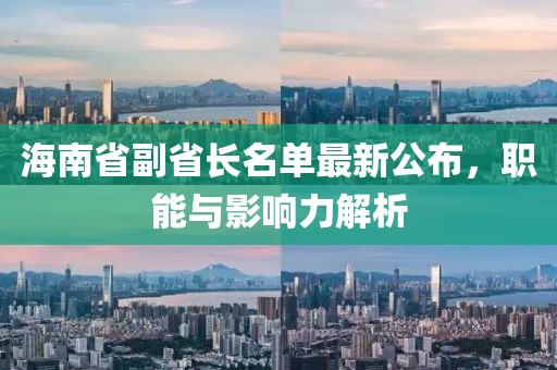 海南省副省長名單最新公布，職能與影響力解析