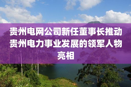 貴州電網公司新任董事長推動貴州電力事業(yè)發(fā)展的領軍人物亮相