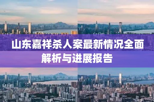 山東嘉祥殺人案最新情況全面解析與進(jìn)展報(bào)告
