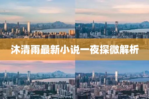 沐清雨最新小說一夜探微解析