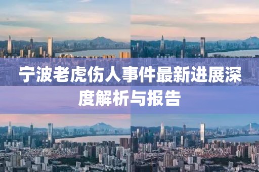 寧波老虎傷人事件最新進展深度解析與報告