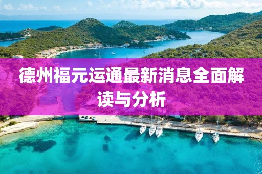德州福元運(yùn)通最新消息全面解讀與分析