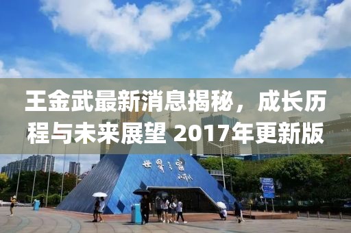 王金武最新消息揭秘，成長歷程與未來展望 2017年更新版