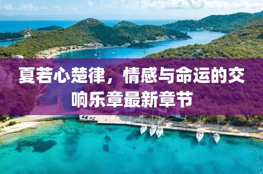 夏若心楚律，情感與命運的交響樂章最新章節(jié)