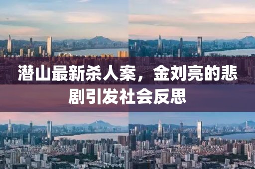 潛山最新殺人案，金劉亮的悲劇引發(fā)社會反思