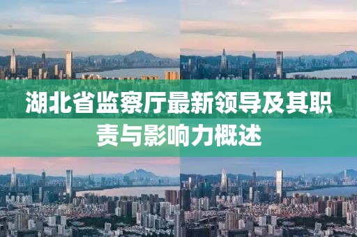 湖北省監(jiān)察廳最新領(lǐng)導(dǎo)及其職責(zé)與影響力概述