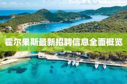 霍爾果斯最新招聘信息全面概覽