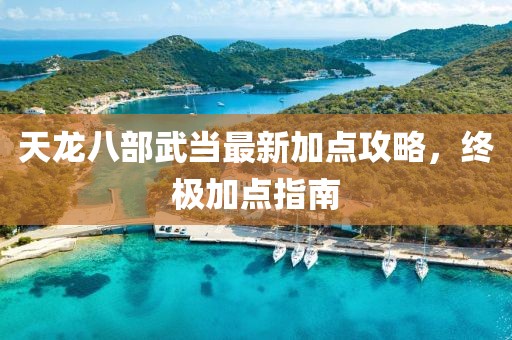天龍八部武當(dāng)最新加點(diǎn)攻略，終極加點(diǎn)指南