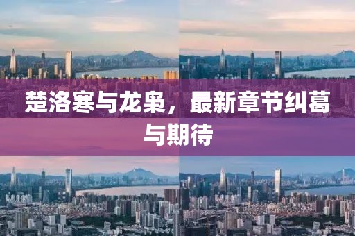 楚洛寒與龍梟，最新章節(jié)糾葛與期待