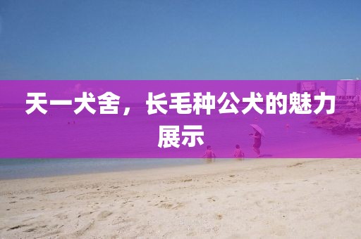 天一犬舍，長(zhǎng)毛種公犬的魅力展示