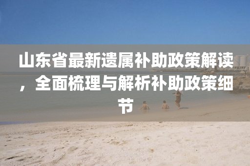 山東省最新遺屬補(bǔ)助政策解讀，全面梳理與解析補(bǔ)助政策細(xì)節(jié)