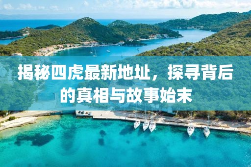 揭秘四虎最新地址，探尋背后的真相與故事始末