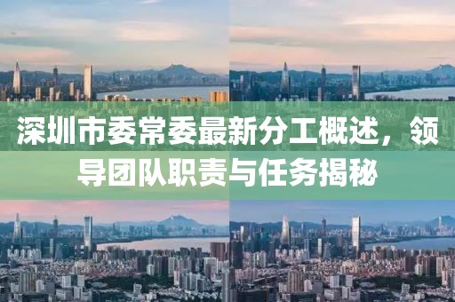 深圳市委常委最新分工概述，領(lǐng)導團隊職責與任務(wù)揭秘