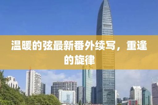 溫暖的弦最新番外續(xù)寫，重逢的旋律