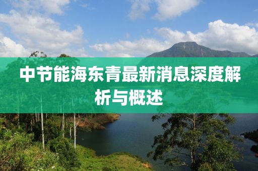 中節(jié)能海東青最新消息深度解析與概述