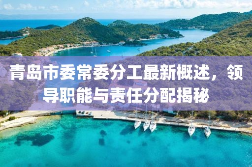 青島市委常委分工最新概述，領(lǐng)導(dǎo)職能與責(zé)任分配揭秘